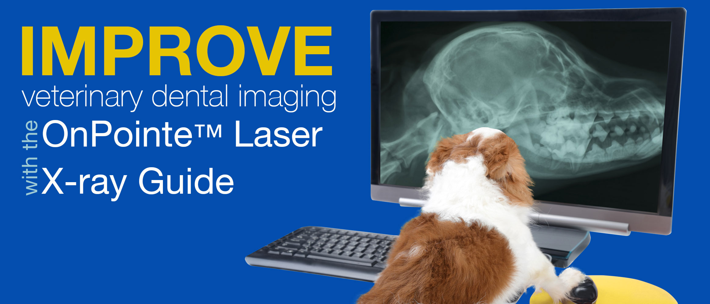 Improve veterinary dental imaging with OnPointe™ Laser X-Ray Image