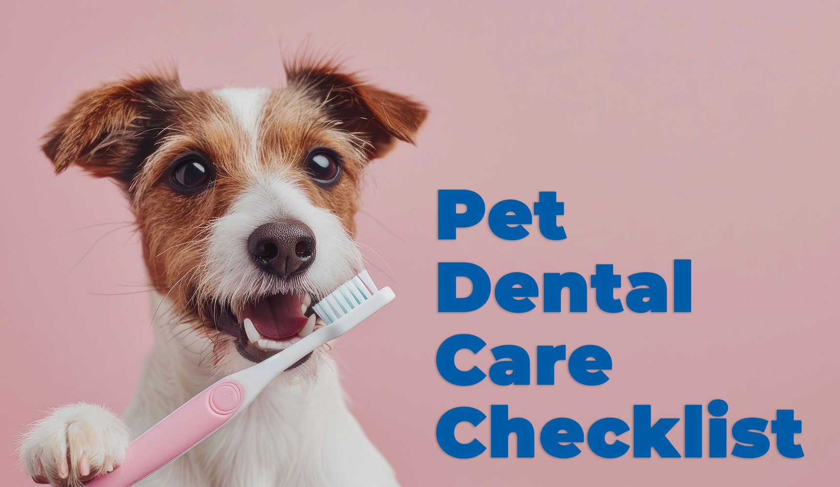 Pet dental care checklist